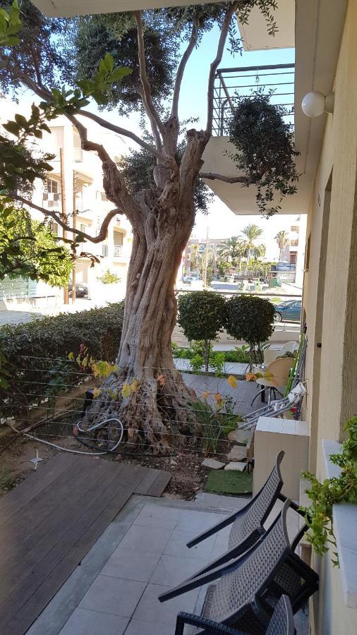 Kerynia Apartments Paphos Kültér fotó