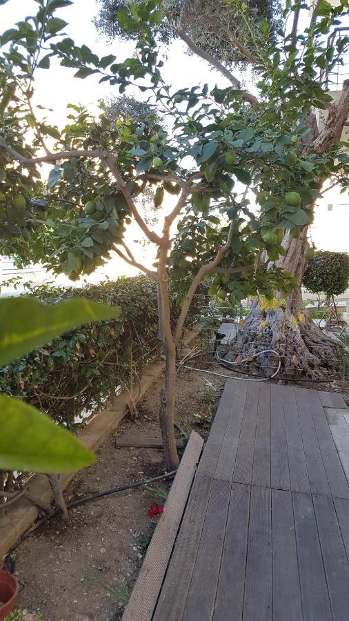 Kerynia Apartments Paphos Kültér fotó