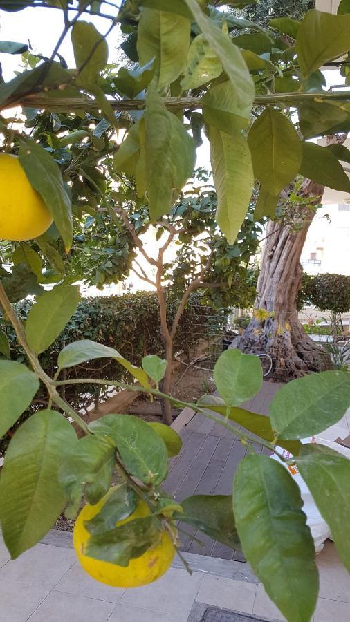 Kerynia Apartments Paphos Kültér fotó